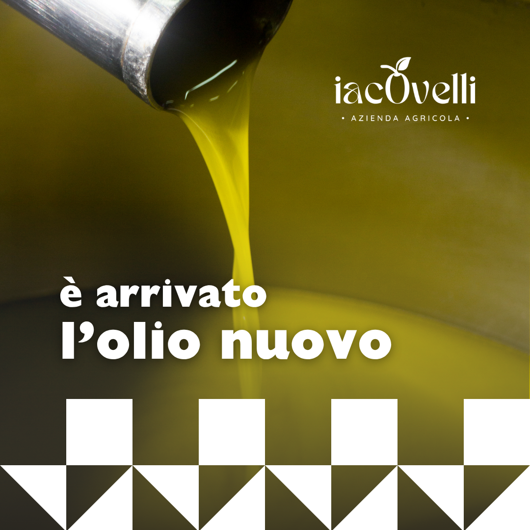 È arrivato l'Olio Nuovo 2025!